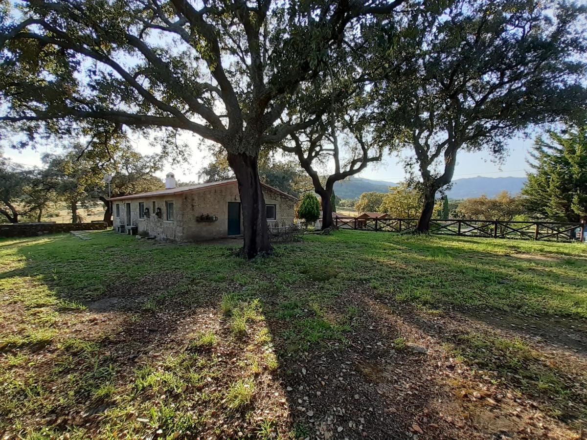 Casa Da Vinha Villa Castelo Novo Exterior photo